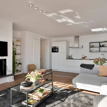 Penthouse, Rooftop Terrace, Free Netflix, Wifi And Airco Anversa